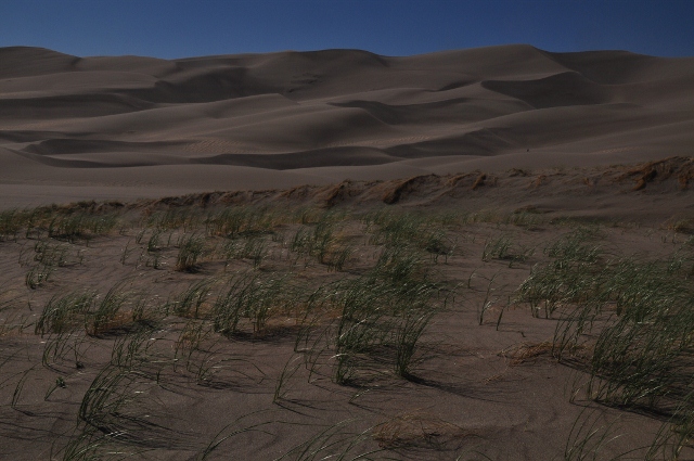 the Great Sand Dunes Natl Park